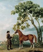 Lord Grosvenors Arabian Stallion with a Groom George Stubbs